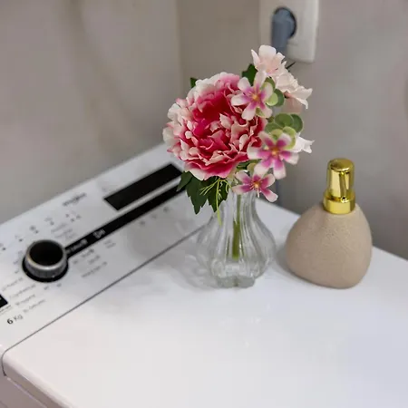 David Zamet Apartman
