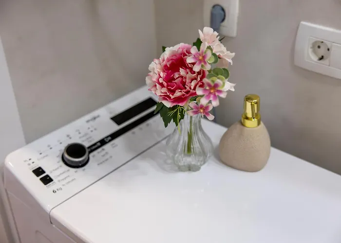 David Zamet Apartament